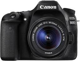 Digital Camera w/ 18-135mm Lens